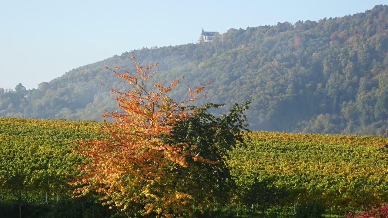 Gaestehaus Moni Jaeger Weyher Zewnętrze zdjęcie